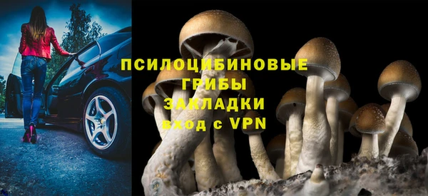 скорость Абаза
