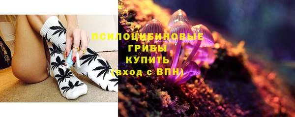 СК Алексеевка