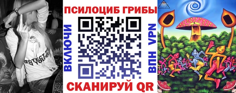 Галлюциногенные грибы Psilocybine cubensis  Гусиноозёрск 
